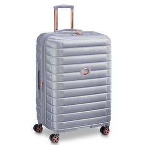 DELSEY MALETA 28 SHADOW PLATA