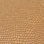 5348858-3.jpg