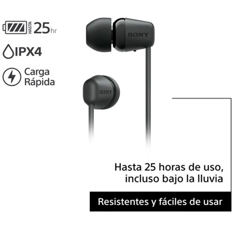 5511061-2.jpg