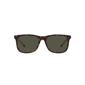 LENTES POLO CABALLERO