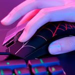 5883630-7.jpg