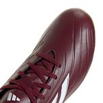5885753-8.jpg