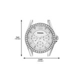 5137613-5.jpg