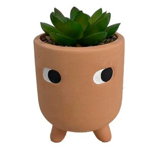 PLANTA C/POTE 7.7X7.7X11.5CM