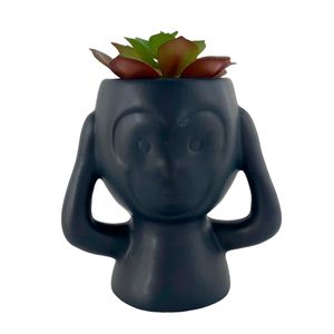 PLANTA C/POTE 12X6.7X14CM