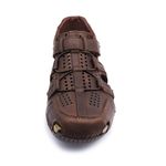 5093791-2.jpg