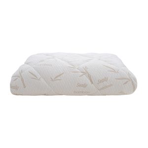 Protector Sealy Bamboo Queen Size