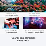 5964746-7.jpg