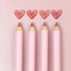 Delineador Para Labios Pink Up Lip Liner Ashen