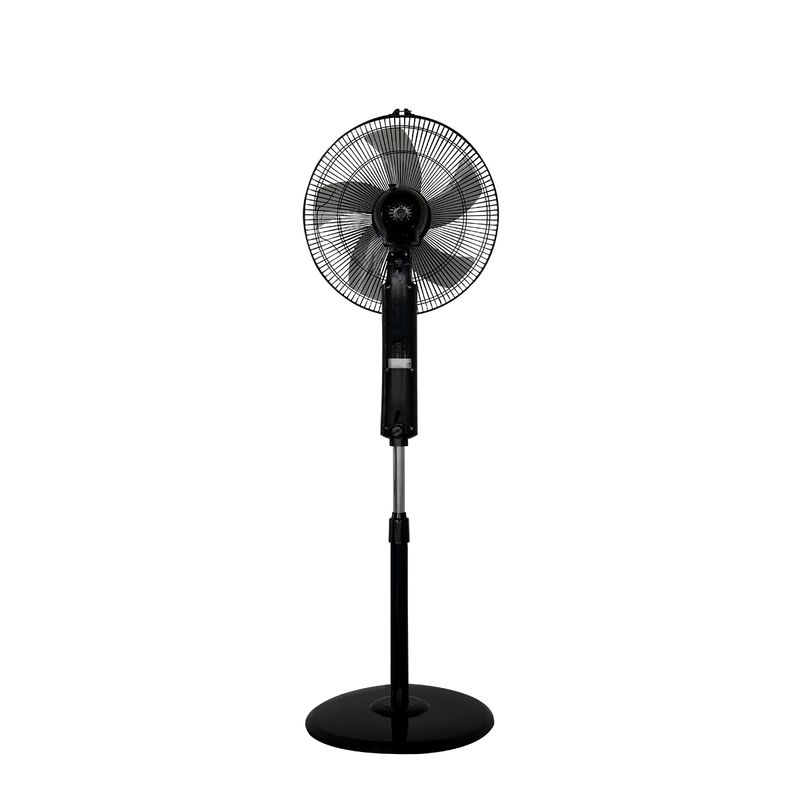 5893534-3.jpg
