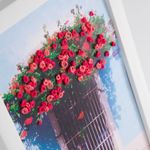 6027520-2.jpg