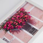 6027521-2.jpg