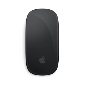 Magic Mouse Apple Multi Wrls Touch