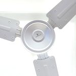 5846903-4.jpg