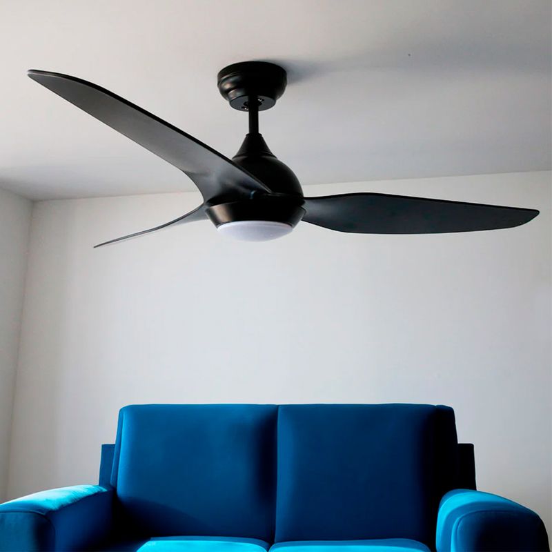 6049332-4.jpg