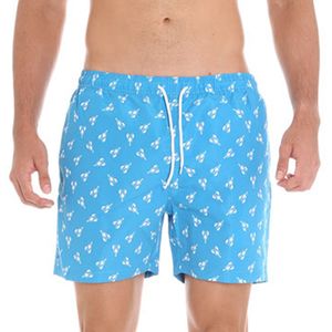 Bermuda Casual Banana Blue Azul Cielo para Hombre