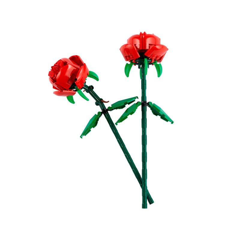 5917653-2.jpg