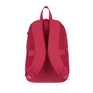 Mochila Para Laptop De 26.5 L Samsonite Combinado
