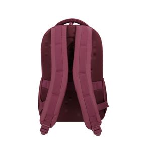 Mochila Para Laptop De 25.5 L Samsonite Combinado