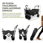 6220539-4.jpg