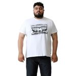 6155135-1.jpg