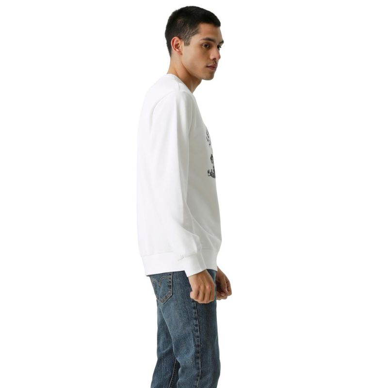 6177243-3.jpg