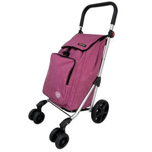 Carrito de Compras con 4 Ruedas Dobles Frontales