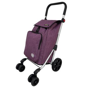 Carrito de Compras con 4 Ruedas Dobles Frontales