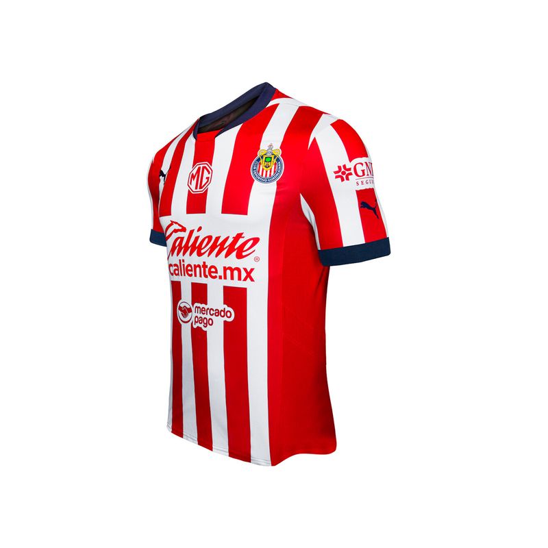 6135442-3.jpg