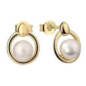 Aretes Plata