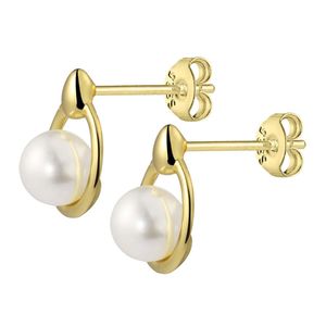 Aretes Plata