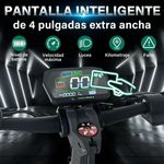 6236112-4.jpg