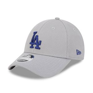 Gorra Los Angeles Dodgers 940 New Era Seasonal Collection
