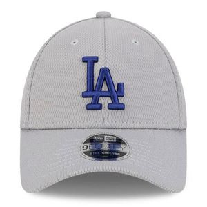 Gorra Los Angeles Dodgers 940 New Era Seasonal Collection