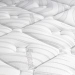 6185788-4.jpg